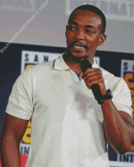 Actor Anthony Mackie Diamond Painting