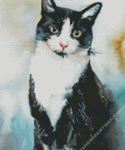 Bicolor Cat Diamond Painting