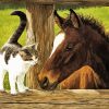 Cat And Horse Art Diamond Painting