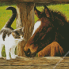 Cat And Horse Art Diamond Painting