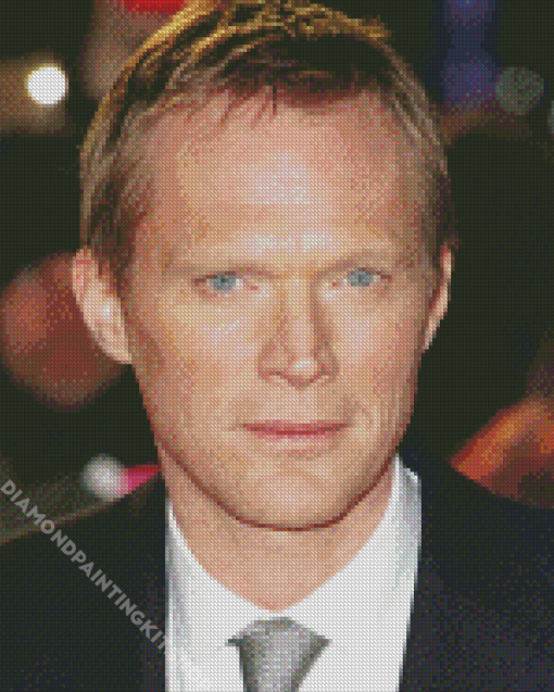 The Actor Paul Bettany Diamond Painting