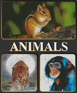 Animals