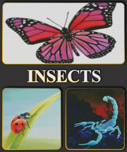 Insects