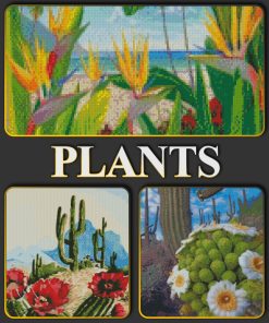 Plants