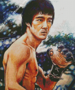 Enter The Dragon Character Art Diamond Painting