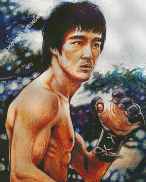 Enter The Dragon Character Art Diamond Painting