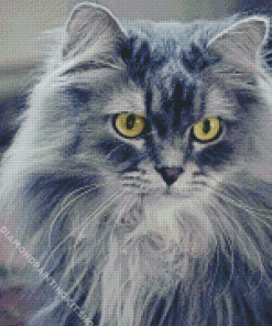 Fluffy Grey Cat Animal Diamond Painting