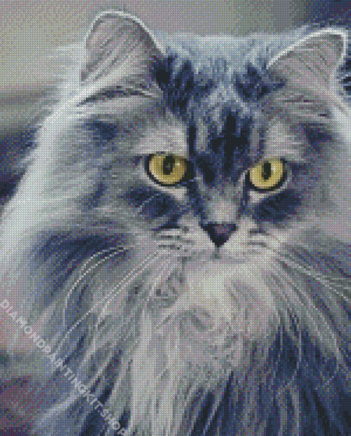 Fluffy Grey Cat Animal Diamond Painting