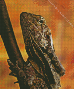 Frilled Dragon Diamond Painting