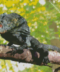 Frilled Dragon Reptile Diamond Painting