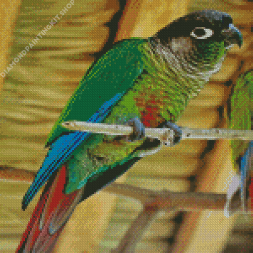 Green Cheek Bird Diamond Painting