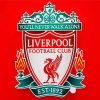 Liverpool Fc Crest Diamond Painting