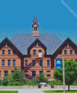 Montana State University Diamond Painting