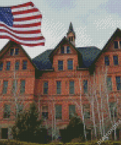 Montana State University And USA Flag Diamond Painting