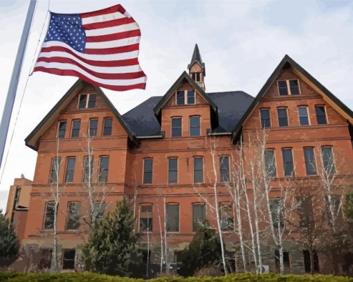 Montana State University And USA Flag Diamond Painting