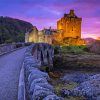 Road To Eilean Donan Castle Diamond Painting