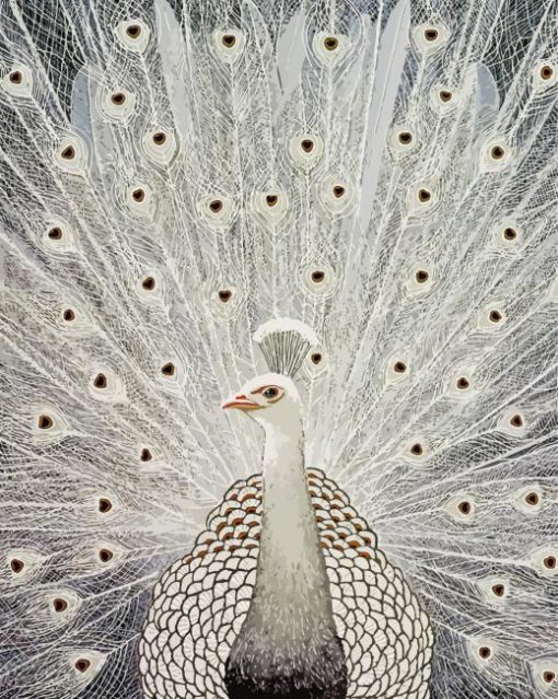 White Peacock Diamond Painting