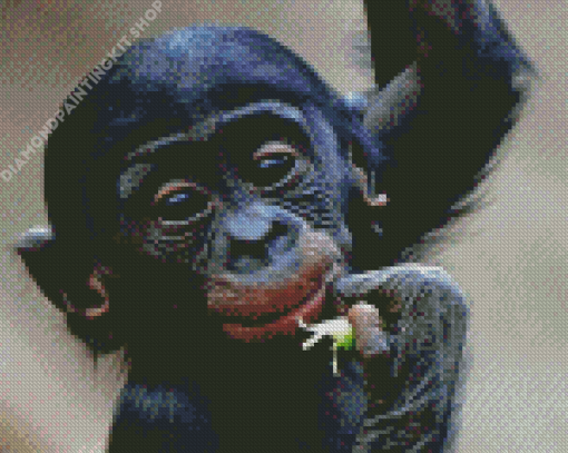 Adorable Bonobo Monkey Diamond Painting