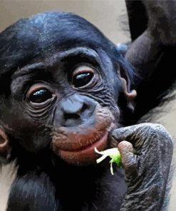 Adorable Bonobo Monkey Diamond Painting