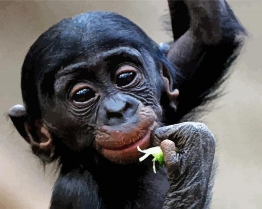 Adorable Bonobo Monkey Diamond Painting