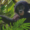 Baby Bonobo Monkey Diamond Painting