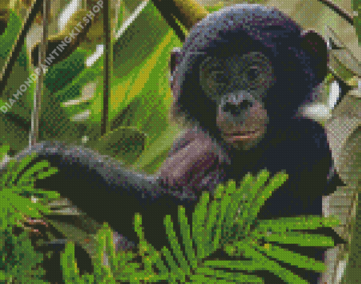 Baby Bonobo Monkey Diamond Painting