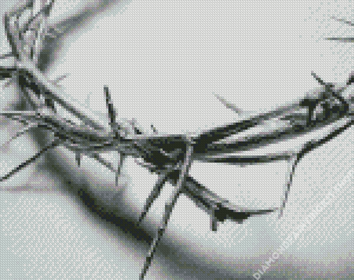 Black And White Crown Of Thorns Art Diamond Painting