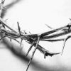 Black And White Crown Of Thorns Art Diamond Painting