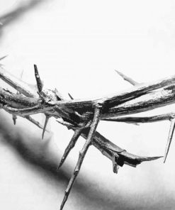 Black And White Crown Of Thorns Art Diamond Painting