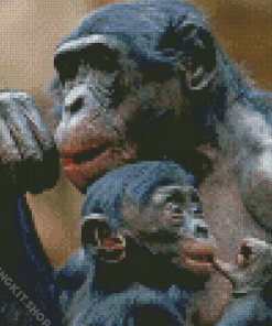 Bonobo Monkeys Diamond Painting