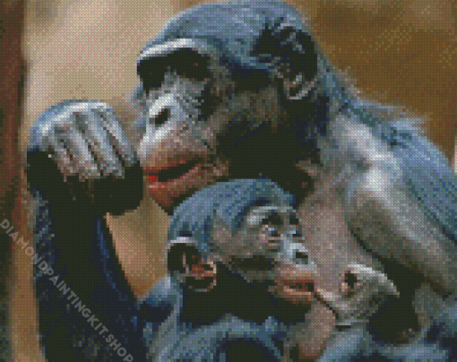 Bonobo Monkeys Diamond Painting