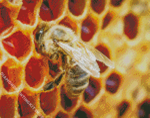 Honeycomb Bee Diamond Painting