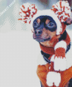 Winter Dog Animal Diamond Painting