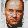 The Actor James Gandolfini Diamond Painting