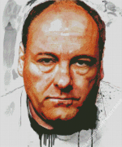 The Actor James Gandolfini Diamond Painting