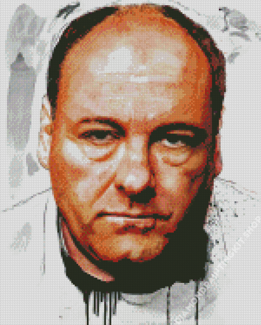 The Actor James Gandolfini Diamond Painting