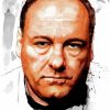 The Actor James Gandolfini Diamond Painting