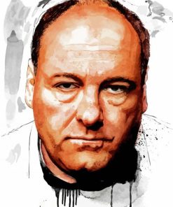 The Actor James Gandolfini Diamond Painting