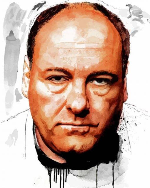 The Actor James Gandolfini Diamond Painting