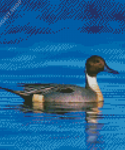 Aesthetic Northern Pintail Diamond Painting