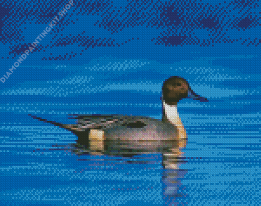 Aesthetic Northern Pintail Diamond Painting