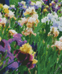 Iris Field Diamond Painting