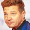 The American Actor Jeremy Renner Diamond Painting