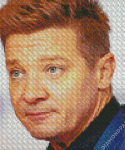 The American Actor Jeremy Renner Diamond Painting