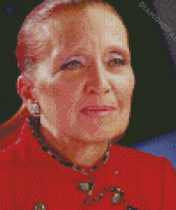 The American Danielle Steel Diamond Painting