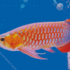 Arowana Fish Underwater Diamond Painting