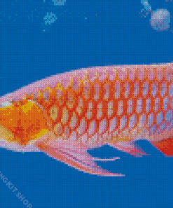 Arowana Fish Underwater Diamond Painting