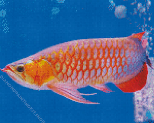 Arowana Fish Underwater Diamond Painting