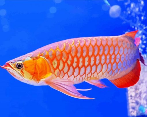 Arowana Fish Underwater Diamond Painting