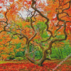 Autumn Old Growth Trees Diamond Painting